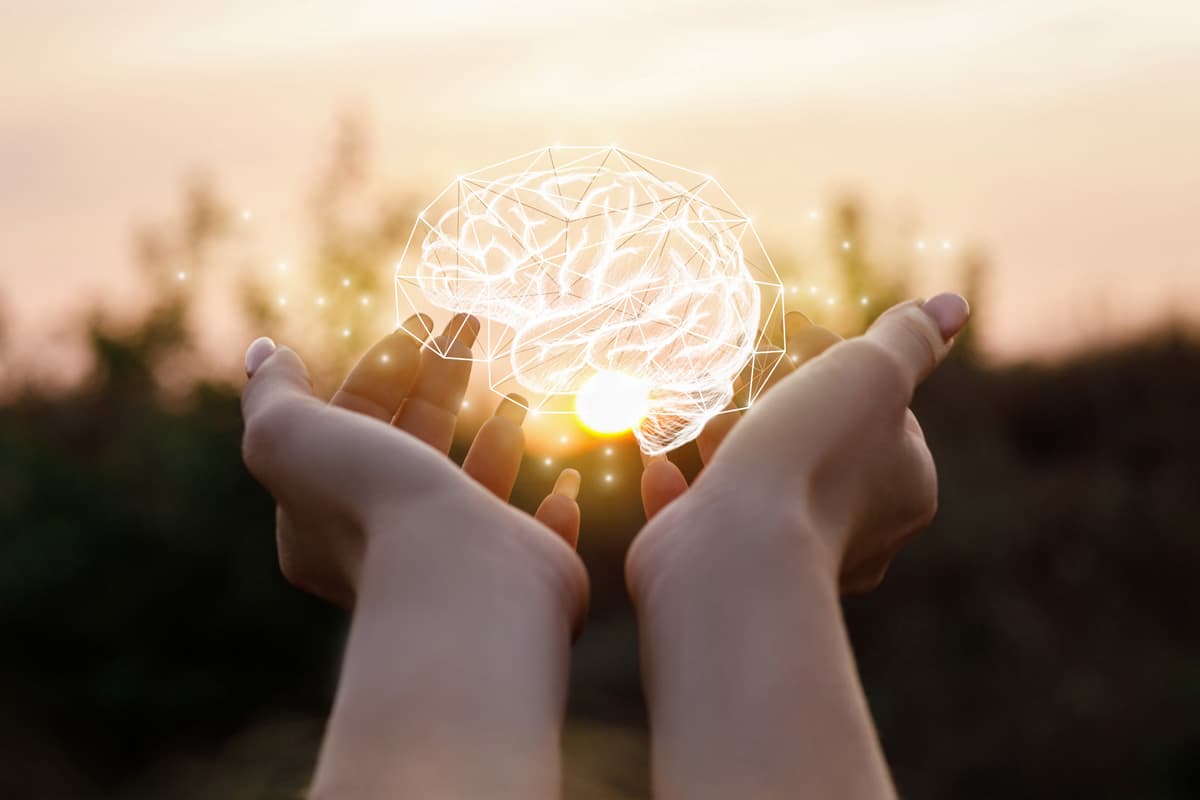  Psicólogas con una amplia experiencia y formación